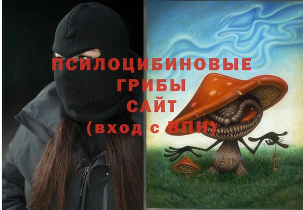 стаф Беломорск
