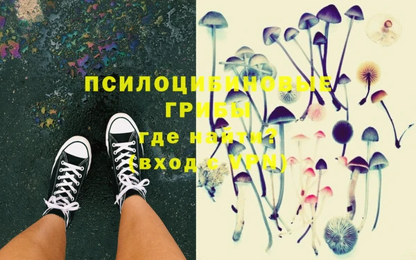 марки nbome Белокуриха