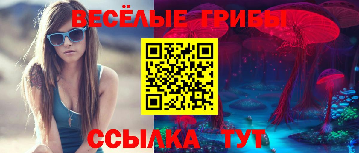 Псилоцибиновые грибы Psilocybine cubensis Минеральные Воды