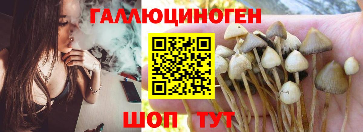 Псилоцибиновые грибы мухоморы  Псилоцибиновые грибы ЛСД  Минеральные Воды  Вход с VPN 